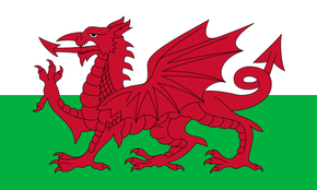 Wales Loft Insulation Removal Flag